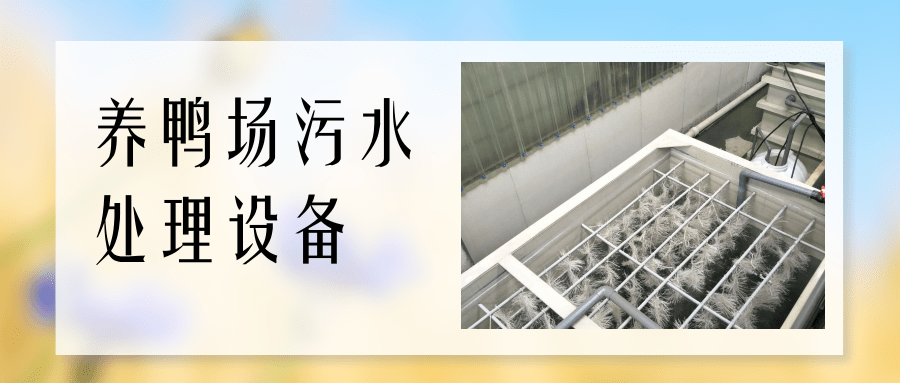 未命名@凡科快图 (1).png